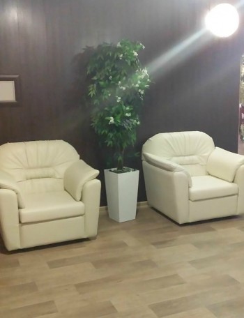 Кресло Премьер в Раздолинске - razdolinsk.mebel54.com | фото