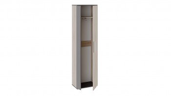 Шкаф для одежды «Нуар» тип 1 Фон серый/Дуб сонома в Раздолинске - razdolinsk.mebel54.com | фото